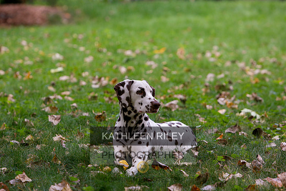 2022-KathleenRileyPhotography-6474