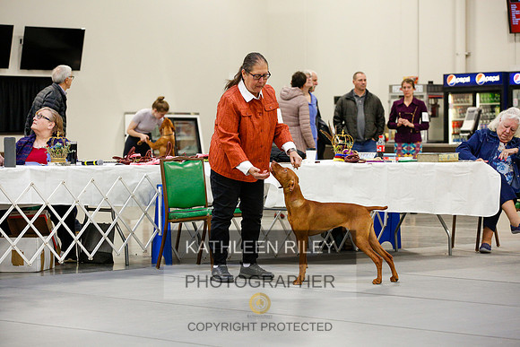 2022-KathleenRileyPhotography-9411