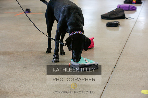 2022-KathleenRileyPhotography-4894
