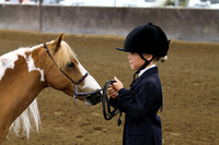 2015 July Jam  Minnesota Pinto Horse Association