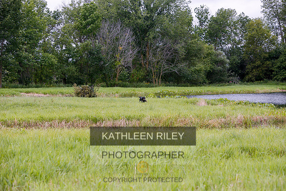 2022-KathleenRileyPhotography-3222