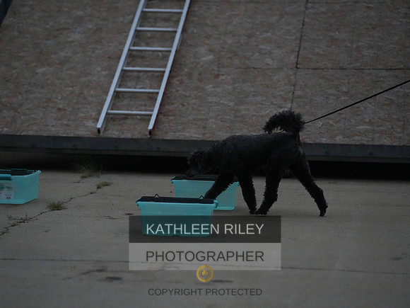 2022-KathleenRileyPhotography219