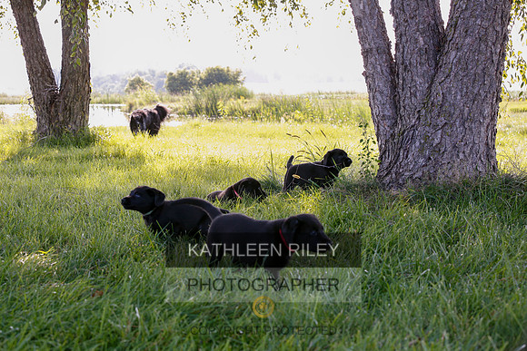 2022-KathleenRileyPhotography-7876