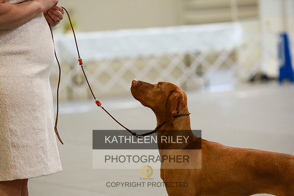 2022-KathleenRileyPhotography-8828