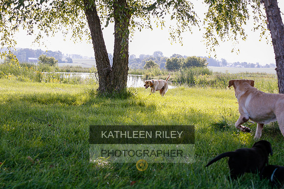 2022-KathleenRileyPhotography-7869