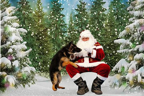 2022-GSDCMSP-Kristie-Background-Edit-2
