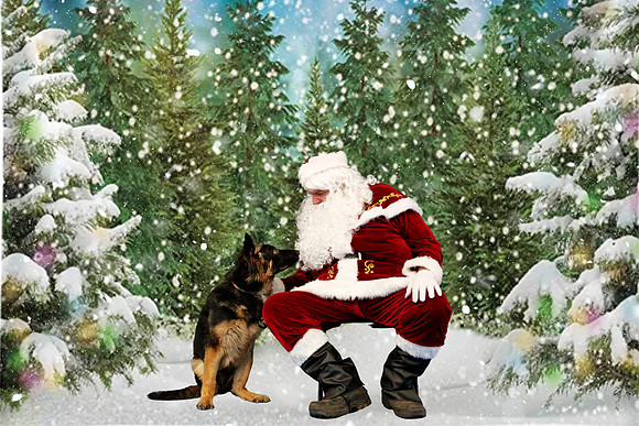 2022-GSDCMSP-Kristie-Background-Edit-1