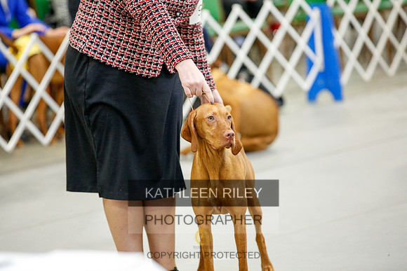 2022-KathleenRileyPhotography-9666