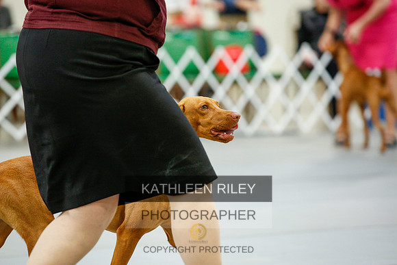 2022-KathleenRileyPhotography-9676