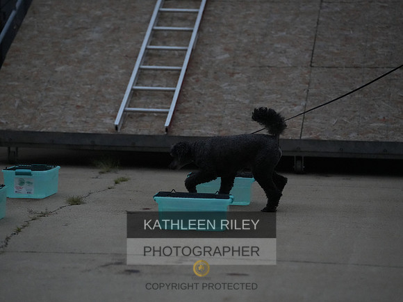 2022-KathleenRileyPhotography220
