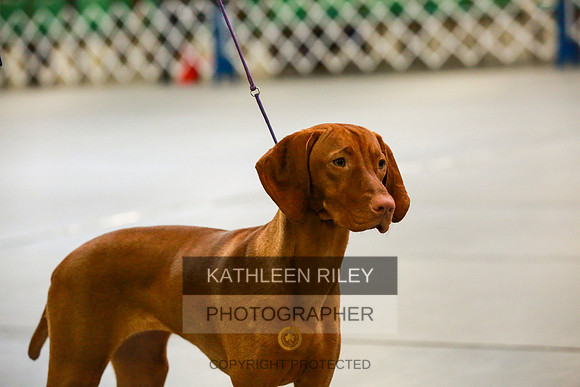 2022-KathleenRileyPhotography-8778