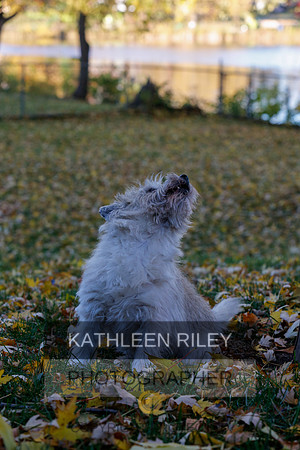 _S2_5685-20211029-RILEY