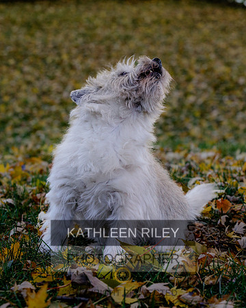 _S2_5685-20211029-RILEY