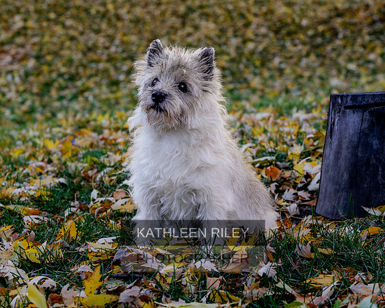 _S2_5686-20211029-RILEY