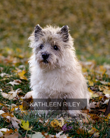 _S2_5698-20211029-RILEY