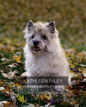 _S2_5700-20211029-RILEY