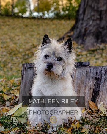 _S2_5707-20211029-RILEY