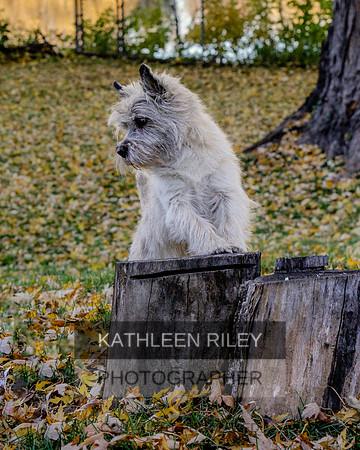 _S2_5753-20211029-RILEY