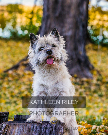 _S2_5833-20211029-RILEY