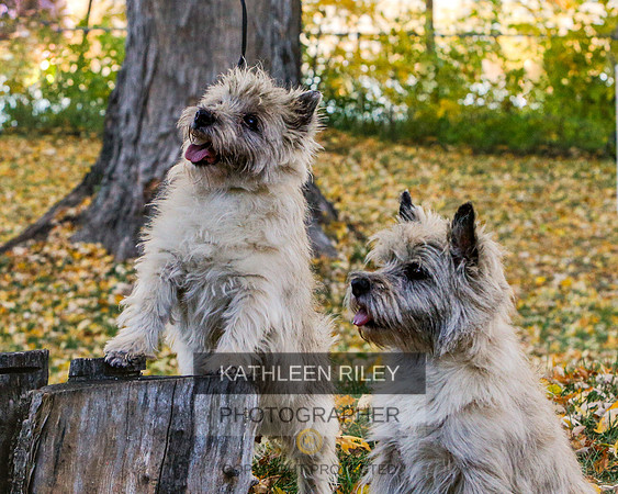 _S2_5866-20211029-RILEY