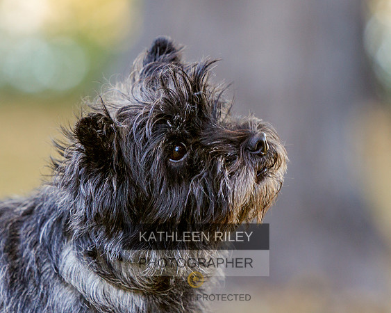 _S2_5924-20211029-RILEY