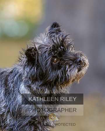 _S2_5925-20211029-RILEY