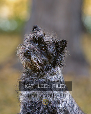 _S2_5982-20211029-RILEY