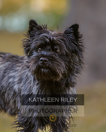 _S2_6028-20211029-RILEY