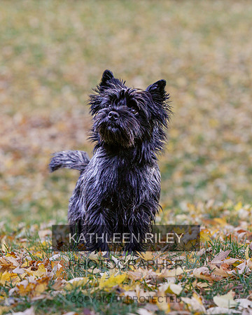 _S2_6101-20211029-RILEY
