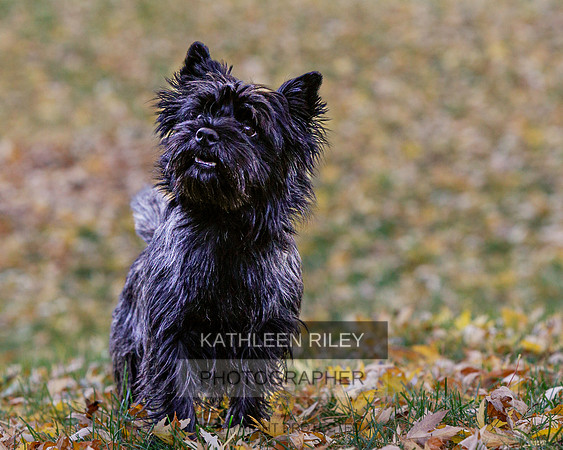 _S2_6111-20211029-RILEY