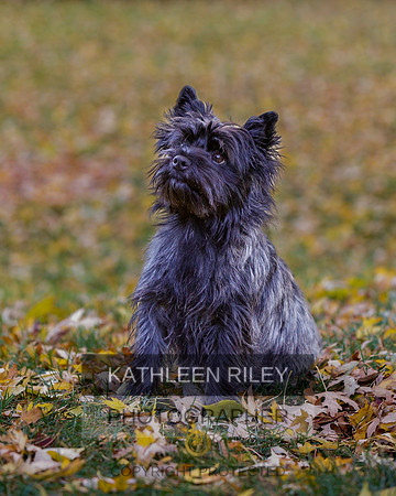 _S2_6149-20211029-RILEY
