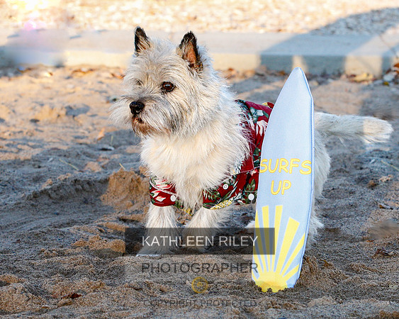 _S2_6185-20211029-RILEY