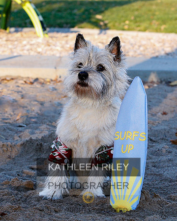 _S2_6195-20211029-RILEY