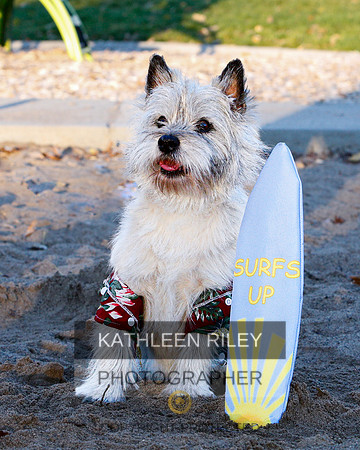 _S2_6204-20211029-RILEY