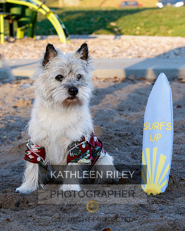 _S2_6228-20211029-RILEY