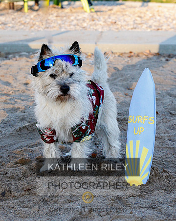 _S2_6256-20211029-RILEY