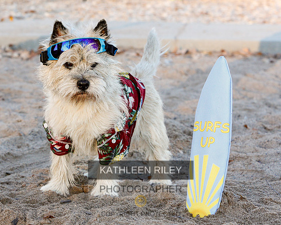 _S2_6268-20211029-RILEY