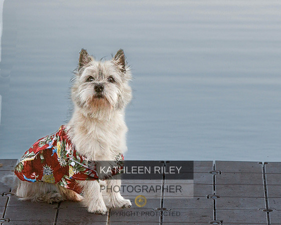 _S2_6308-20211029-RILEY