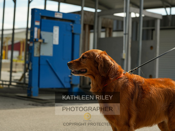 2022-KathleenRileyPhotography-04397