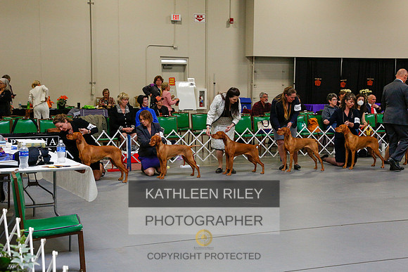2022-KathleenRileyPhotography-6150