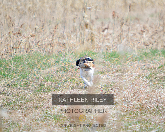 2021-04-24-AmyKleine-8422