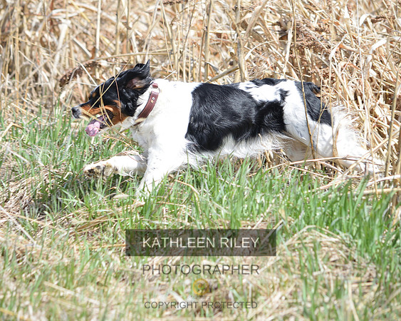 2021-04-24-AmyKleine-8448