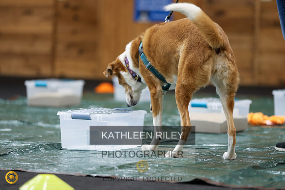 SJLT9354
