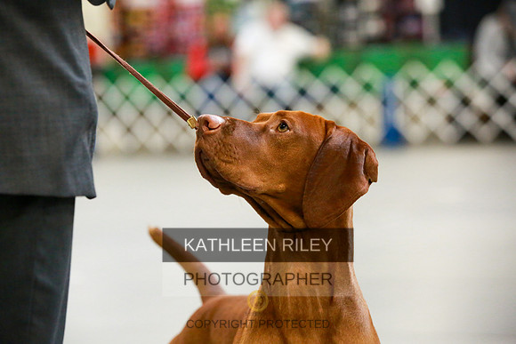 2022-KathleenRileyPhotography-8660