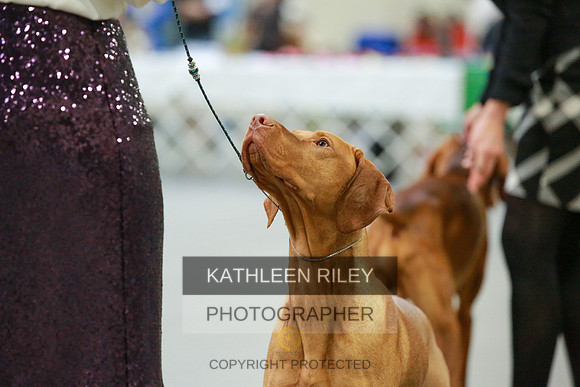 2022-KathleenRileyPhotography-8640