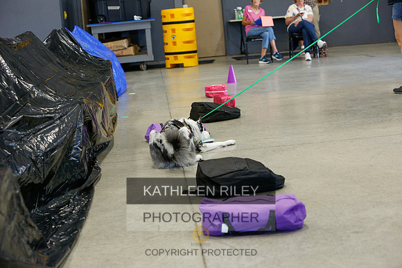 2022-KathleenRileyPhotography-4781