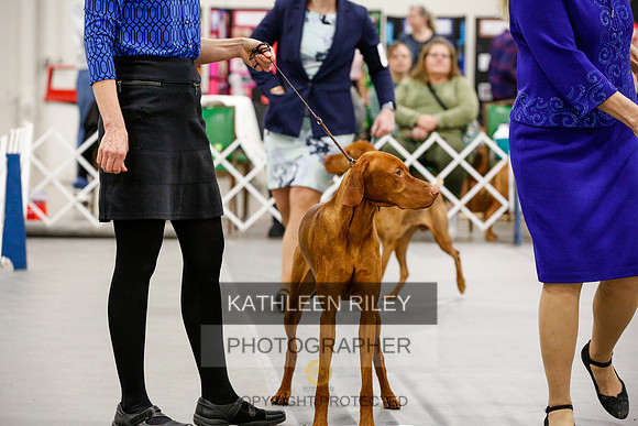 2022-KathleenRileyPhotography-1619
