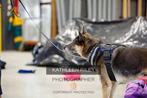 2022-KathleenRileyPhotography-7201
