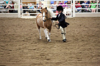 PROOFS FRIDAY Minnesota Pinto Horse Association August Extravaganza 2015