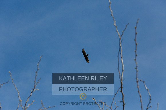 2022-KathleenRileyPhotography-7625